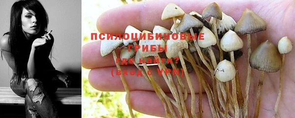 МДПВ Кулебаки