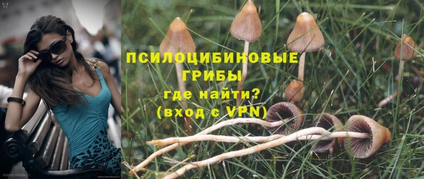 МДПВ Кулебаки