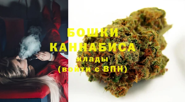 соль ск Ладушкин
