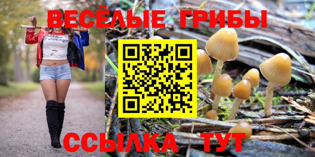 Магнитогорск  Псилоцибиновые грибы MAGIC MUSHROOMS  Вход с VPN 